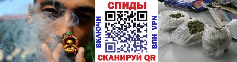 Купить где  Павловская  Бутират буратино 